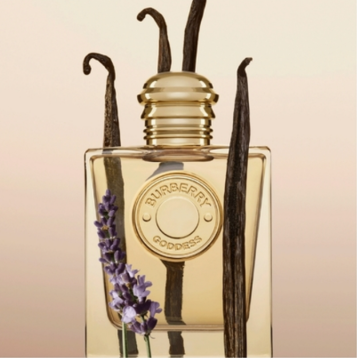 Burberry Goddess - Eau de Parfum (100 ml)